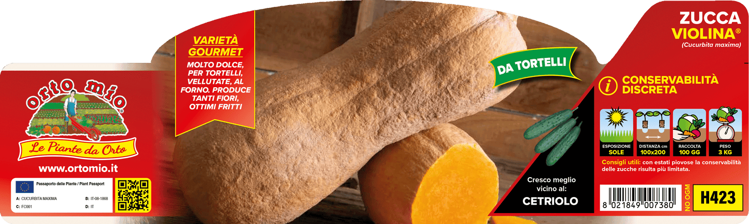Pianta Zucca Violina da Tortelli - Orto Mio