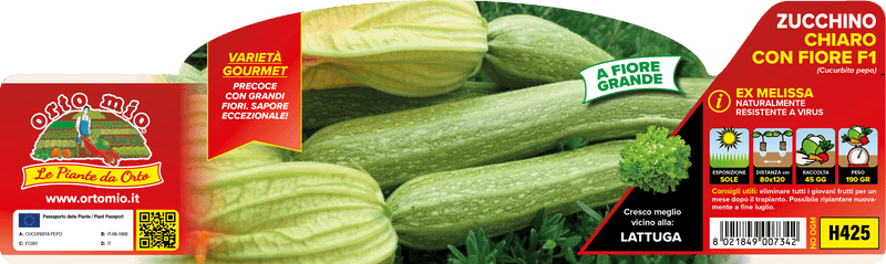 Pianta di chiaro con fiore var. strike f1 (tipo altea) - nel fumetto "resistenti a due virus" in 4 piante in pack – Orto Mio Forlì