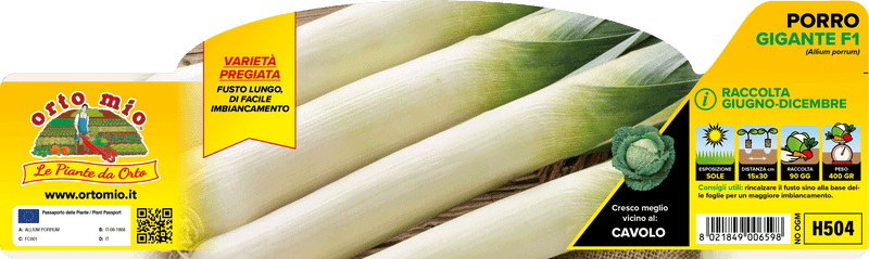 Pianta di porro gigante var. nebulus f1 in 12 piante in pack – Orto Mio Forlì