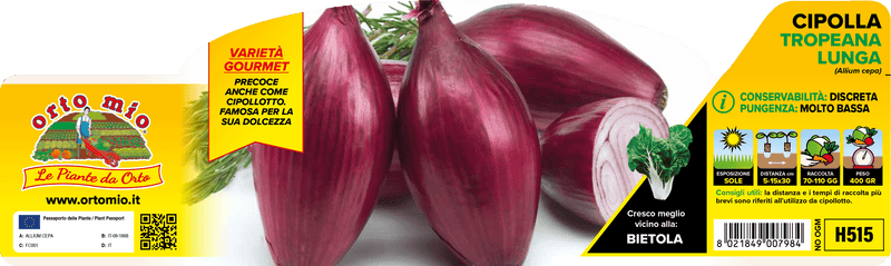 Pianta di tropeana rossa lunga in 12 piante in pack – Orto Mio Forlì