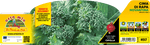 Pianta di cima di rapa novantina in 12 piante in pack – Orto Mio Forlì