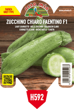 Pianta di chiaro faentino var. accept f1 (ex graffiti) in 1 pianta in vaso 10 – Orto Mio Forlì