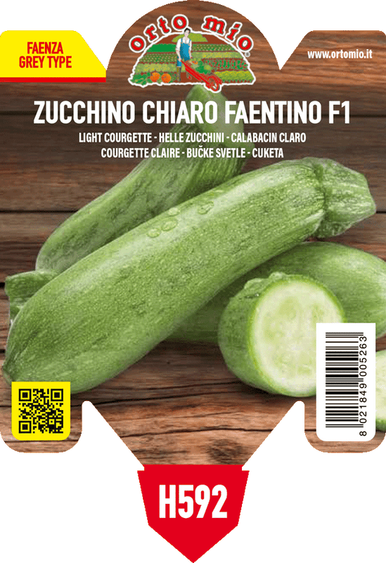 Pianta di chiaro faentino var. accept f1 (ex graffiti) in 1 pianta in vaso 10 – Orto Mio Forlì