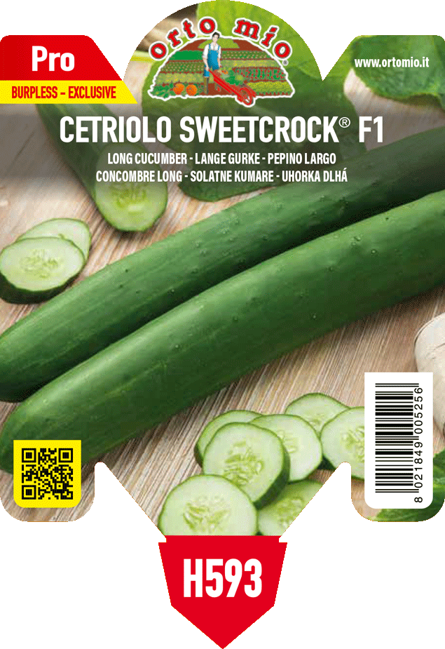 Cetriolo Lungo Burpless Sweetcrock F1