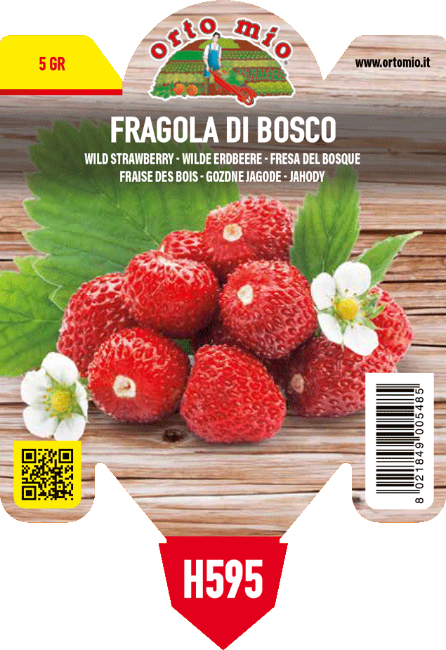 Pianta Fragola Di bosco var. Regina delle Valli - Orto Mio