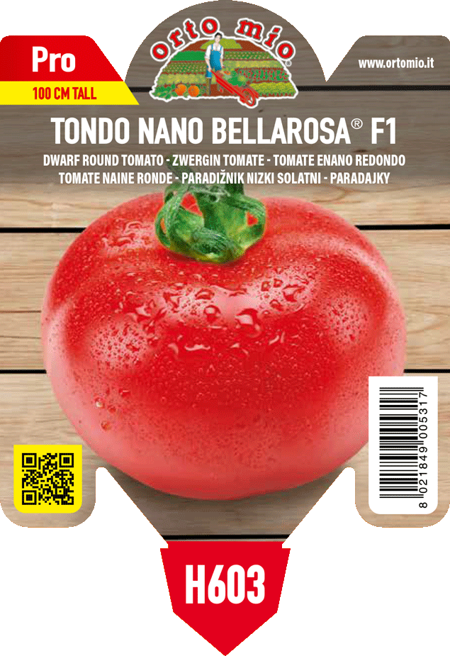 Pianta Pomodoro Tondo nano var. Bellarosa F1 - Orto Mio