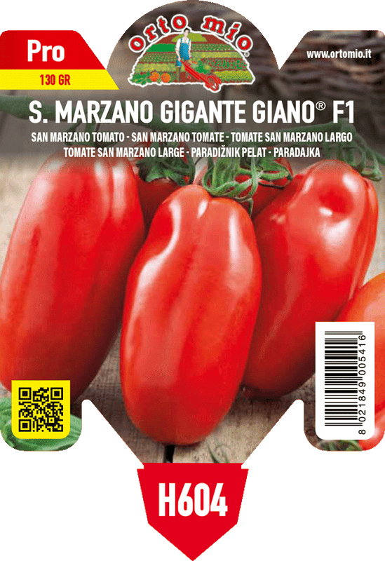 Pianta di san marzano gigante var. giano f1 in 1 pianta in vaso 10 – Orto Mio Forlì