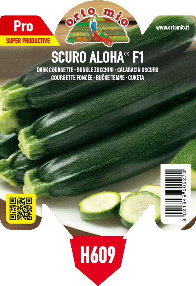 Pianta Zucchino Scuro var. Aloha F1 - Orto Mio