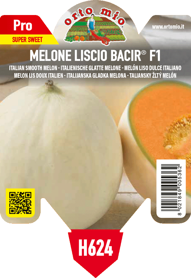 Melone Liscio Bacir F1