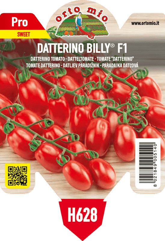 Pianta di datterino var. solbello f1
(ex lobello) - fumetto a cavallo del titolo, che va su 2 righe in 1 pianta in vaso 10 – Orto Mio Forlì