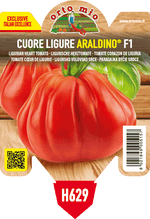 Pianta di cuore ligure del ponente var. araldino f1 in 1 pianta in vaso 10 – Orto Mio Forlì