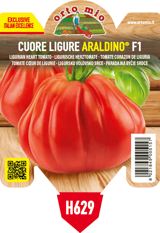 Pianta di cuore ligure del ponente var. araldino f1 in 1 pianta in vaso 10 – Orto Mio Forlì