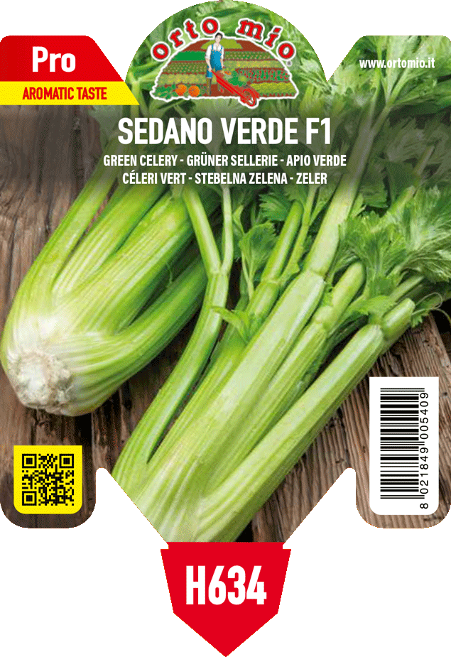 Pianta Sedano Verde da Pinzimonio - Orto Mio