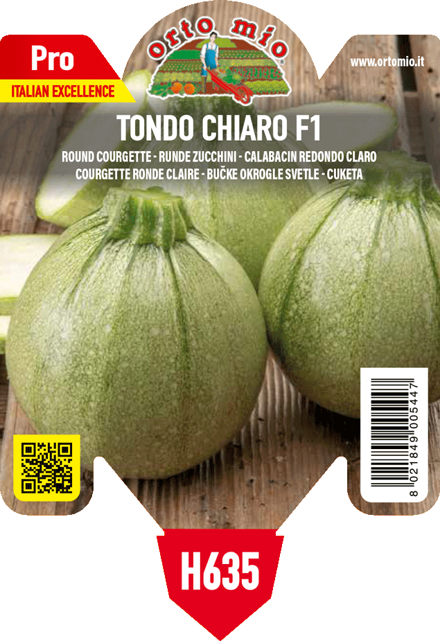 Zucchino tondo chiaro var. galilèe F1