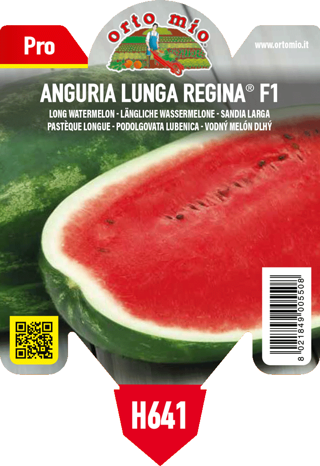 Anguria Lunga Crimson var. Regina F1