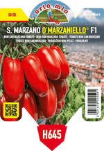 Pianta di a grappolo o'marzaniello var. babyzano f1 novità - resistente a virus tswv in 1 pianta in vaso 10 – Orto Mio Forlì