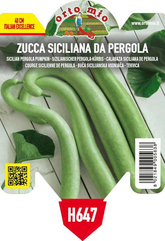 Pianta di siciliana lagenaria da pergola in 1 pianta in vaso 10 – Orto Mio Forlì