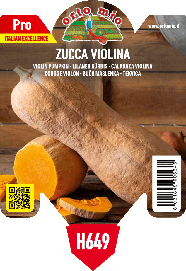 Pianta Zucca Violina da Tortelli - Orto Mio