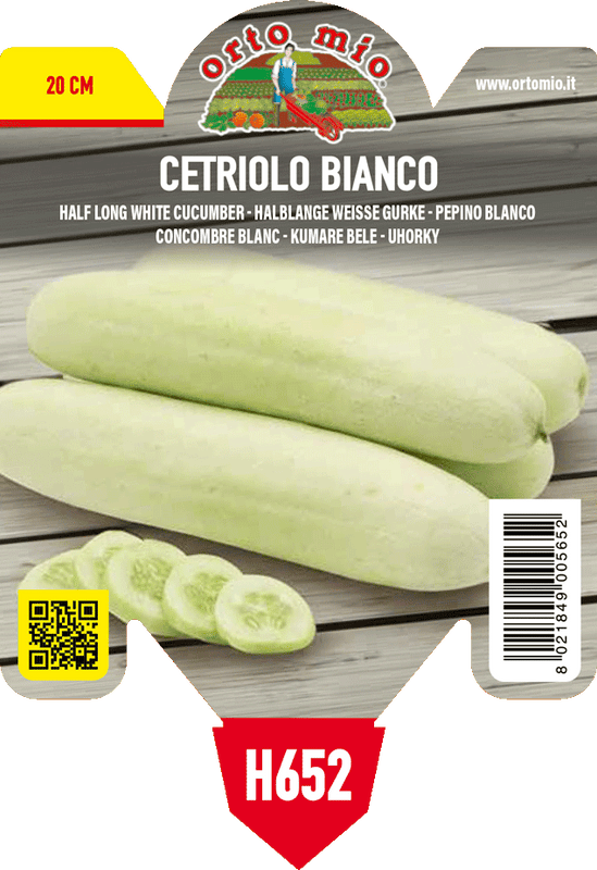 Pianta di bianco mezzo lungo f1 in 1 pianta in vaso 10 – Orto Mio Forlì