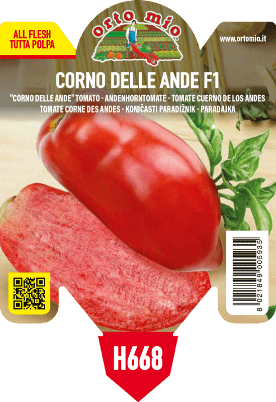 Pianta di corno delle ande var. bellandine f1 (ex cornabel) no pro in 1 pianta in vaso 10 – Orto Mio Forlì
