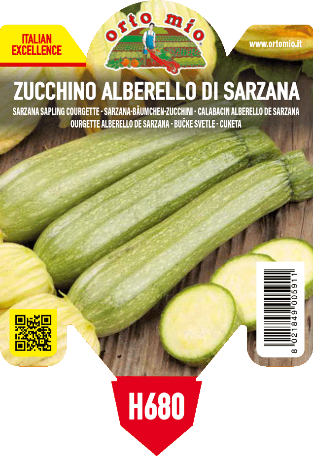 Pianta Zucchino Alberello di Sarzana var. Levante F1 - Orto Mio