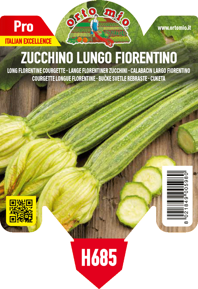 Zucchino Lungo Fiorentino tipo Fiesole