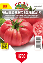 Pianta di rosa di sorrento var. rosalinda f1 in 1 pianta in vaso 10 – Orto Mio Forlì