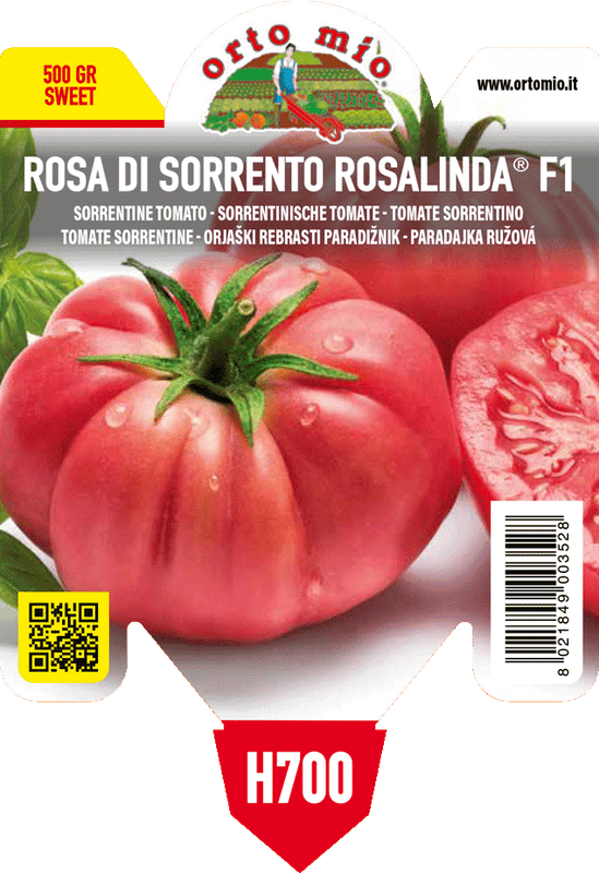 Pianta di rosa di sorrento var. rosalinda f1 in 1 pianta in vaso 10 – Orto Mio Forlì
