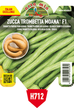 Pianta di trombetta di albenga var. moana f1 in 1 pianta in vaso 10 – Orto Mio Forlì