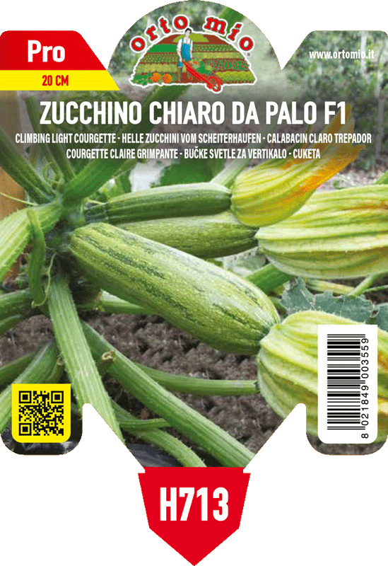 Pianta di chiaro da palo var. joker f1 (ex ortano-stratos) in 1 pianta in vaso 10 – Orto Mio Forlì
