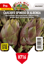 Pianta di spinoso di albenga in 1 pianta in vaso 10 – Orto Mio Forlì