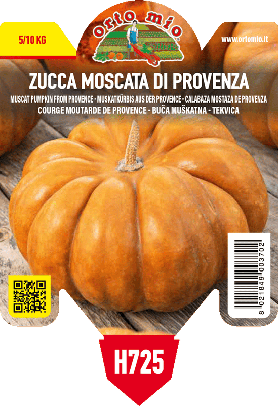 Pianta di moscata di provenza in 1 pianta in vaso 10 – Orto Mio Forlì