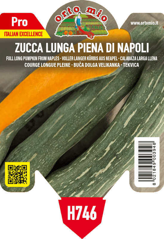 Pianta di lunga piena di napoli - la foto deve riempire tutto il box, stessa inquadratura 2025 in 1 pianta in vaso 10 – Orto Mio Forlì