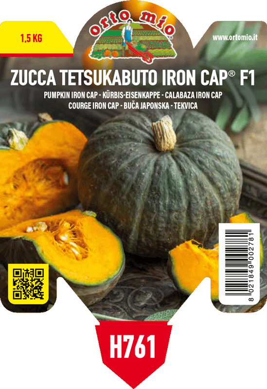 Pianta di tetsukabuto f1 in 1 pianta in vaso 10 – Orto Mio Forlì