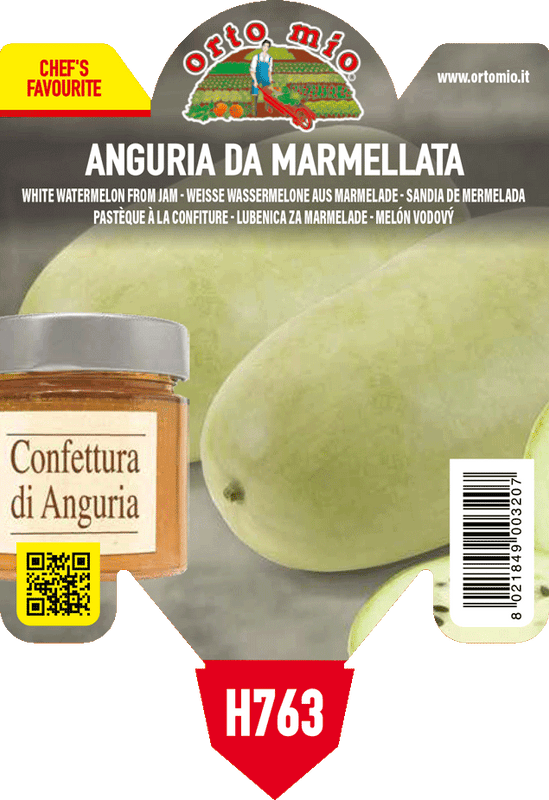 Pianta di anguria da marmellata in 1 pianta in vaso 10 – Orto Mio Forlì