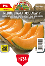 Pianta di cantalupo charentais var. jenga f1 in 1 pianta in vaso 10 – Orto Mio Forlì