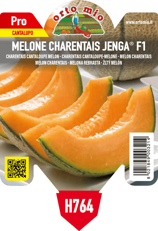 Pianta di cantalupo charentais var. jenga f1 in 1 pianta in vaso 10 – Orto Mio Forlì
