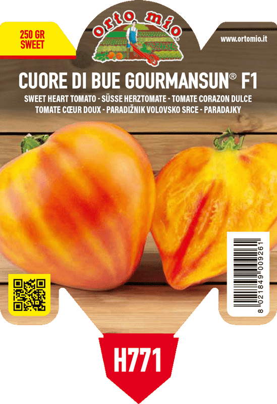 Pianta di cuore dolce var. gourmansun f1 in 1 pianta in vaso 10 – Orto Mio Forlì
