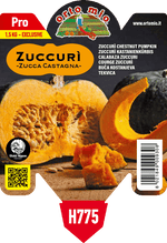 Pianta di zuccurì ® la zucca castagna in 1 pianta in vaso 10 – Orto Mio Forlì