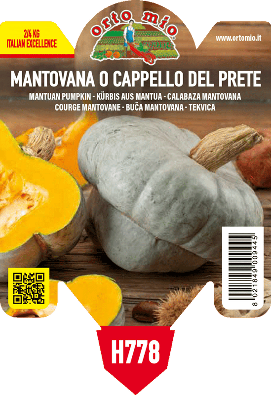 Pianta di cappello del prete tipo mantovana in 1 pianta in vaso 10 – Orto Mio Forlì