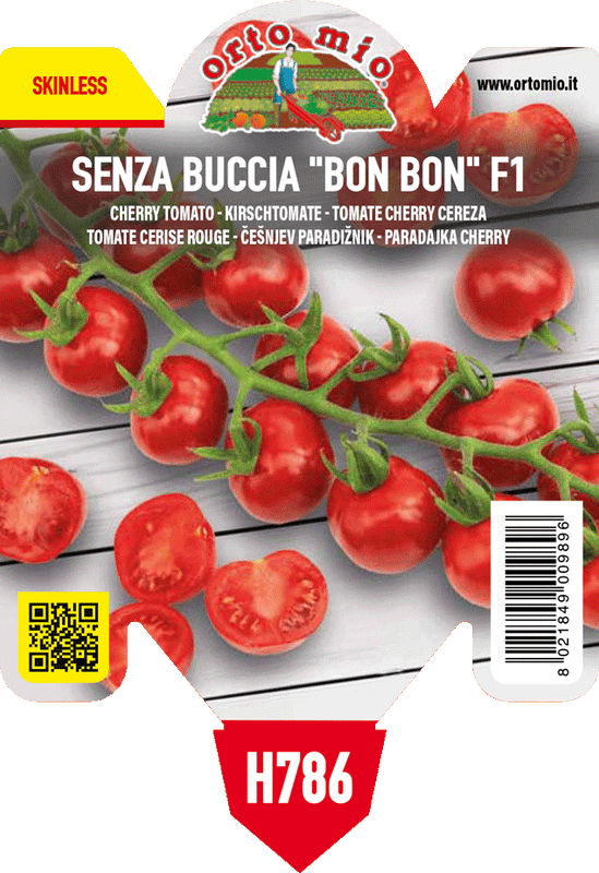 Pianta di ciliegino "senza buccia" bonbon in 1 pianta in vaso 10 – Orto Mio Forlì