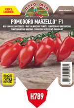 Pianta di mini san marzano var. marzello f1 in 1 pianta in vaso 10 – Orto Mio Forlì