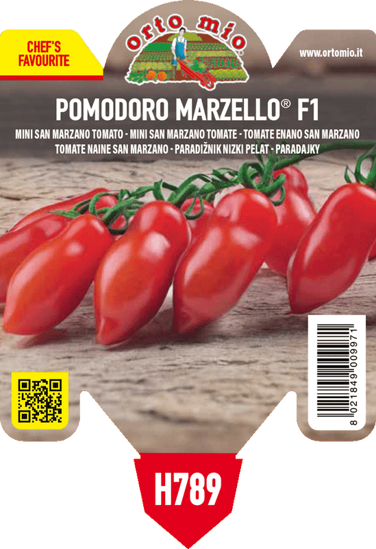 Pianta di mini san marzano var. marzello f1 in 1 pianta in vaso 10 – Orto Mio Forlì