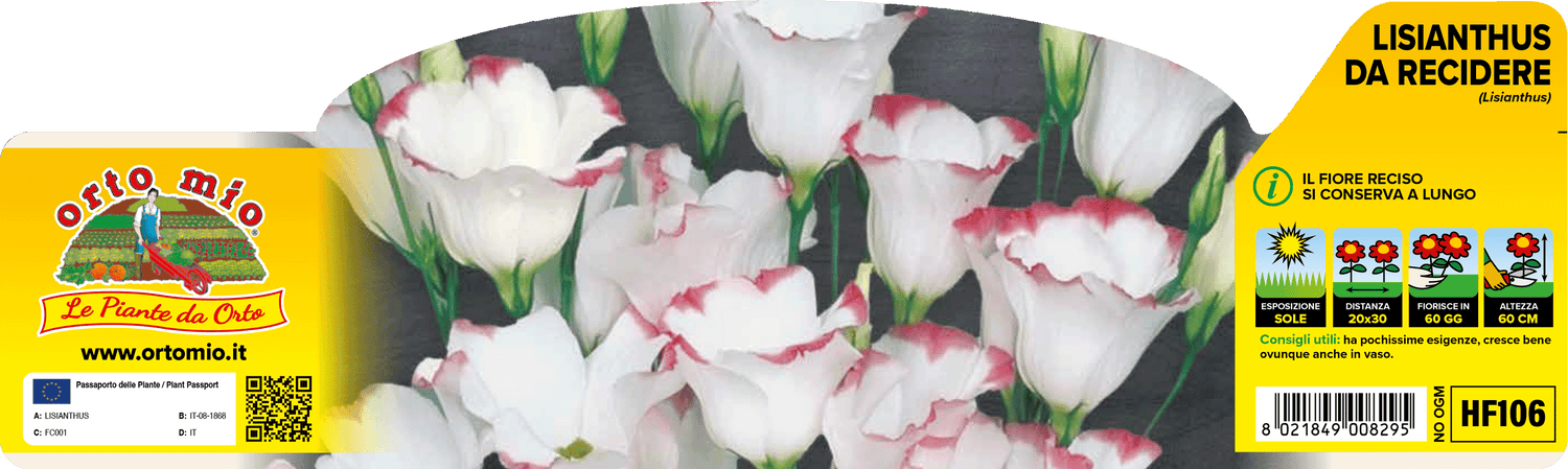 Pianta Lisianthus Ornamentale - Fiore Reciso Elegante - Orto Mio