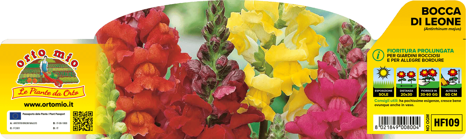 Pianta Bocca di Leone Mix di Colori - Orto Mio