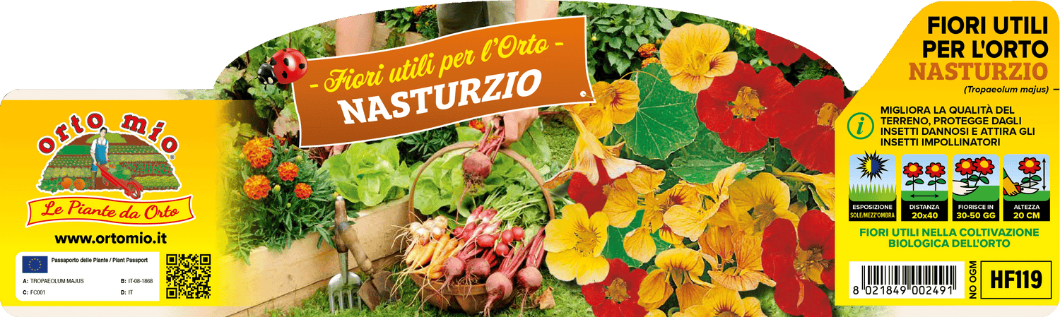 Pianta Nasturzio (Tropaeolum Majus) - Orto Mio