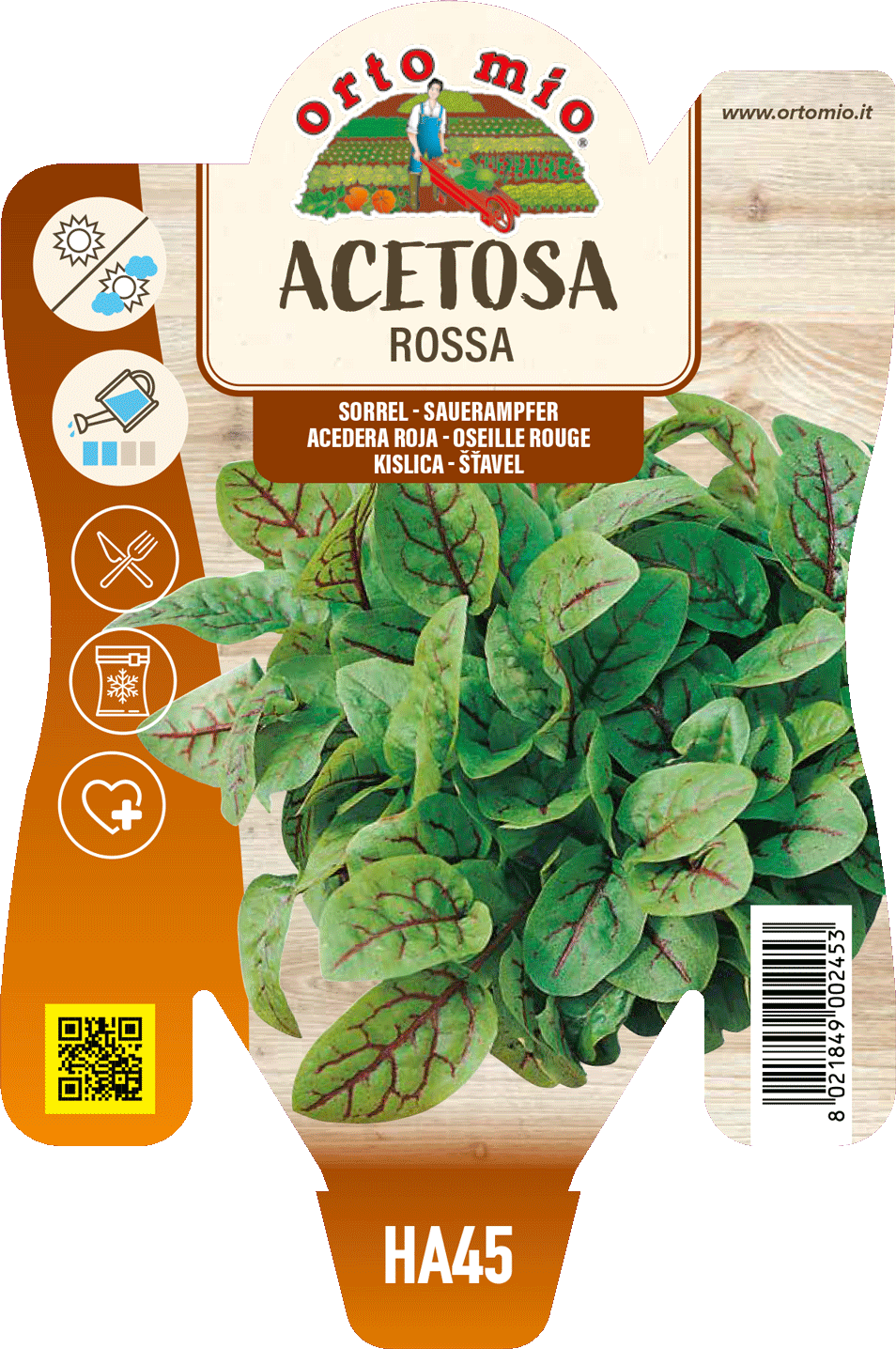Acetosa rossa