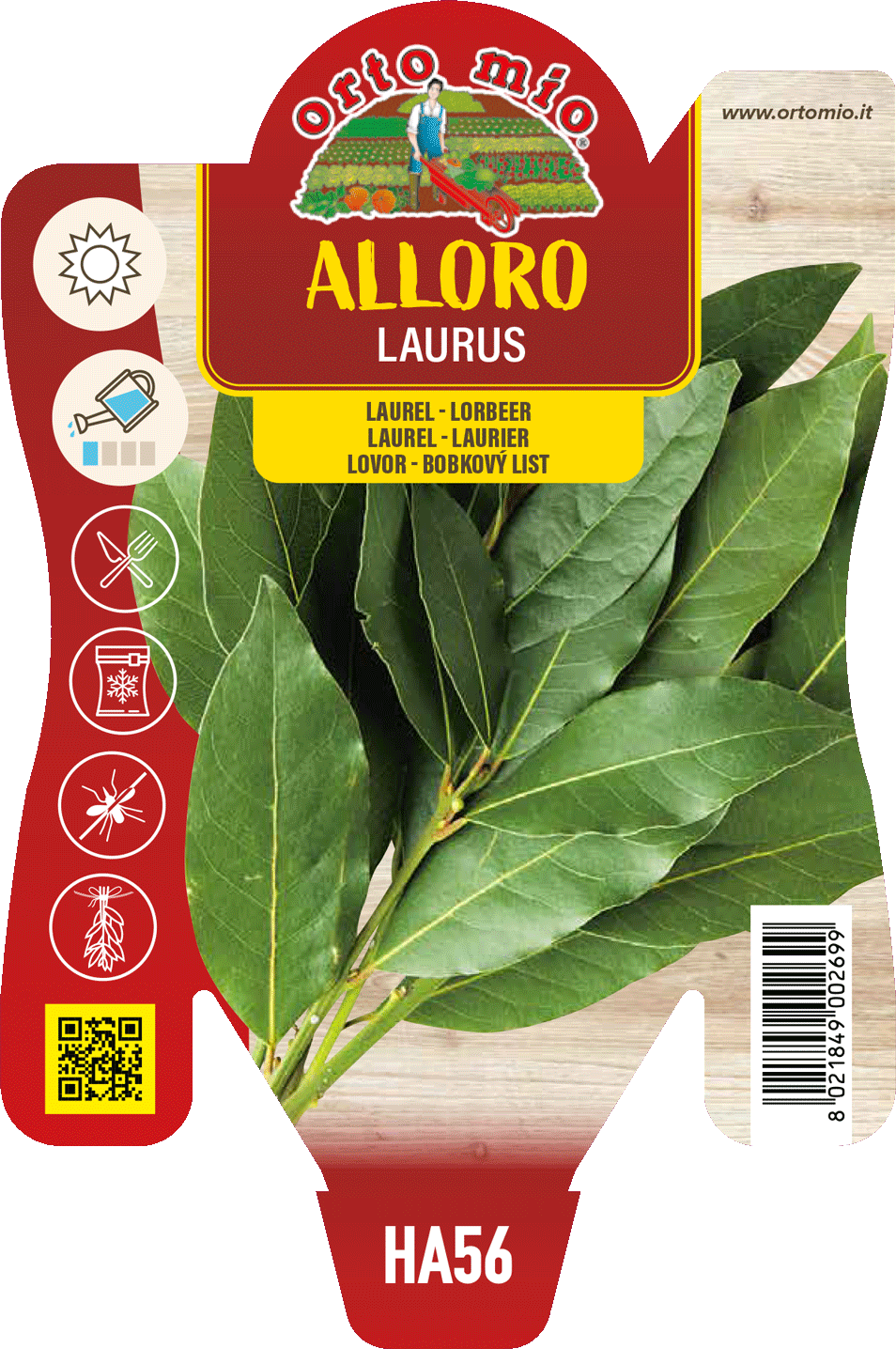 Alloro