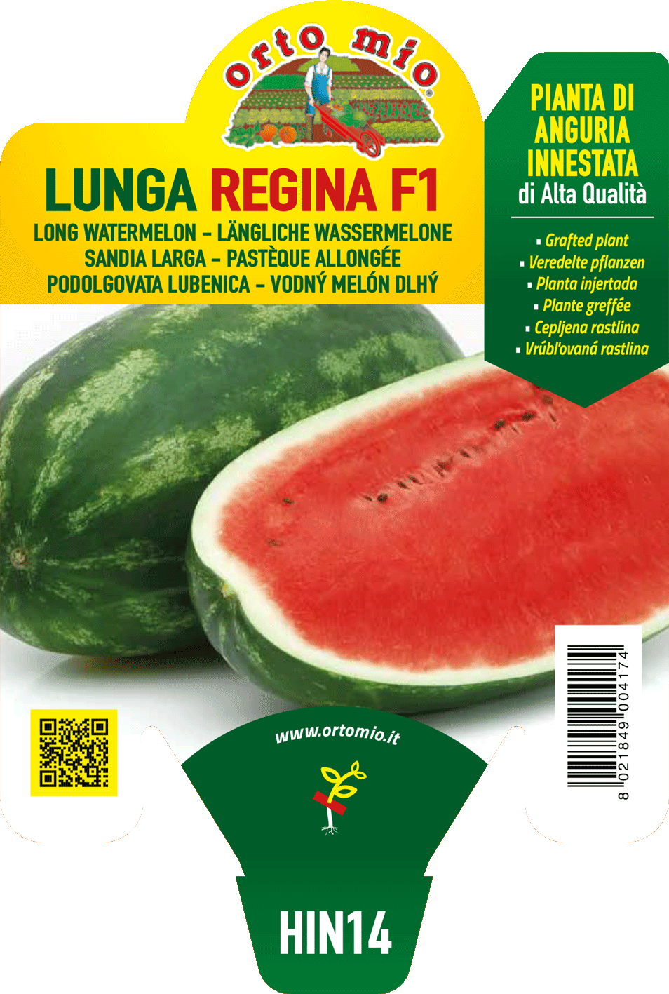 ANGURIA INNESTATA LUNGA REGINA F1 ORTO MIO