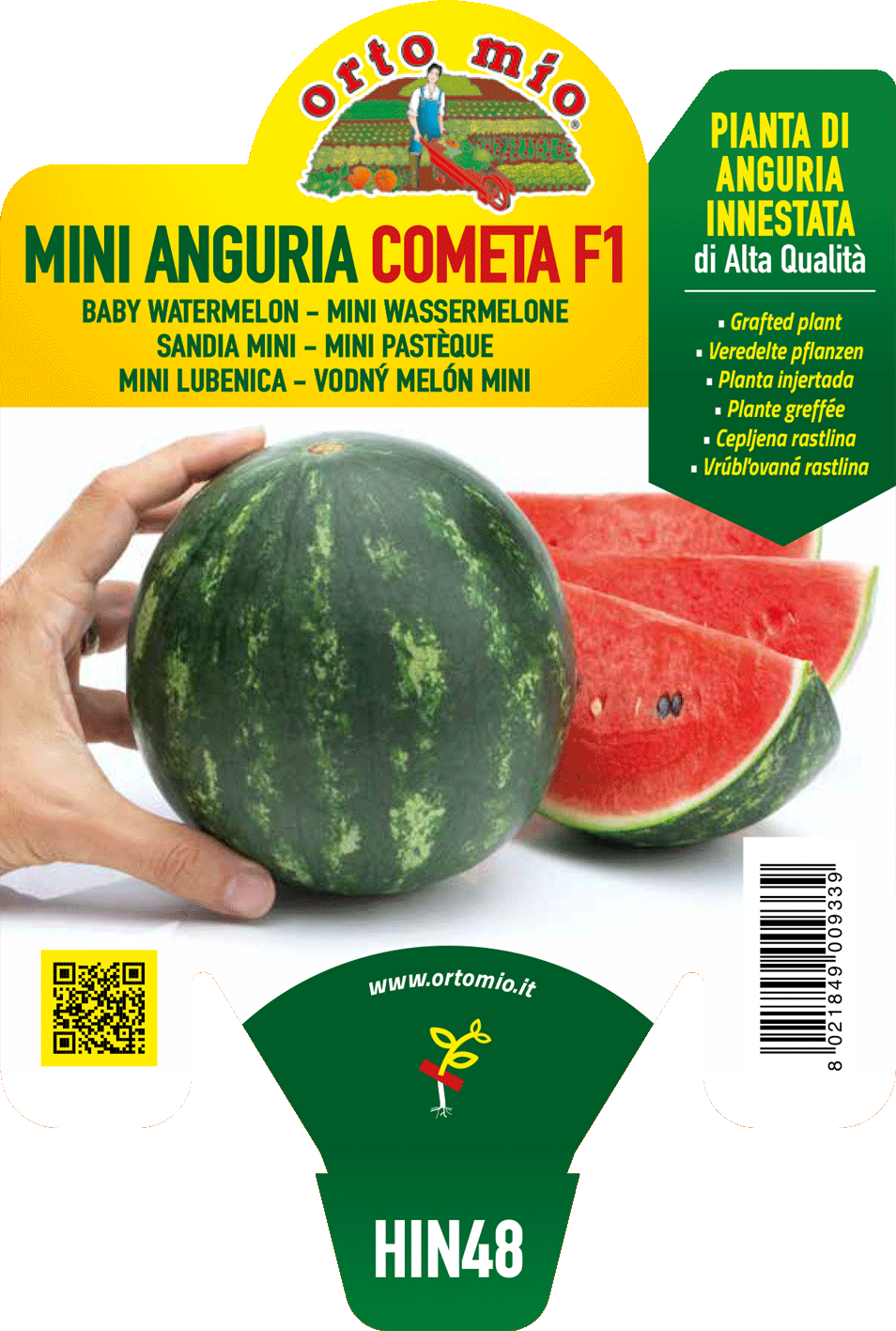 ANGURIA INNESTATA MINI COMETA F1 ORTO MIO